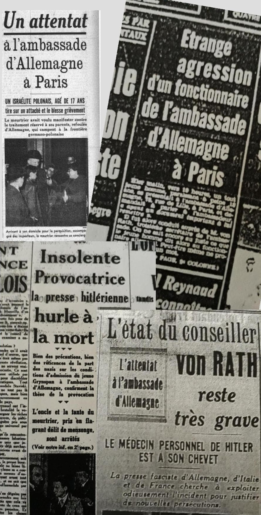 Extraits de presse (novembre 1938)